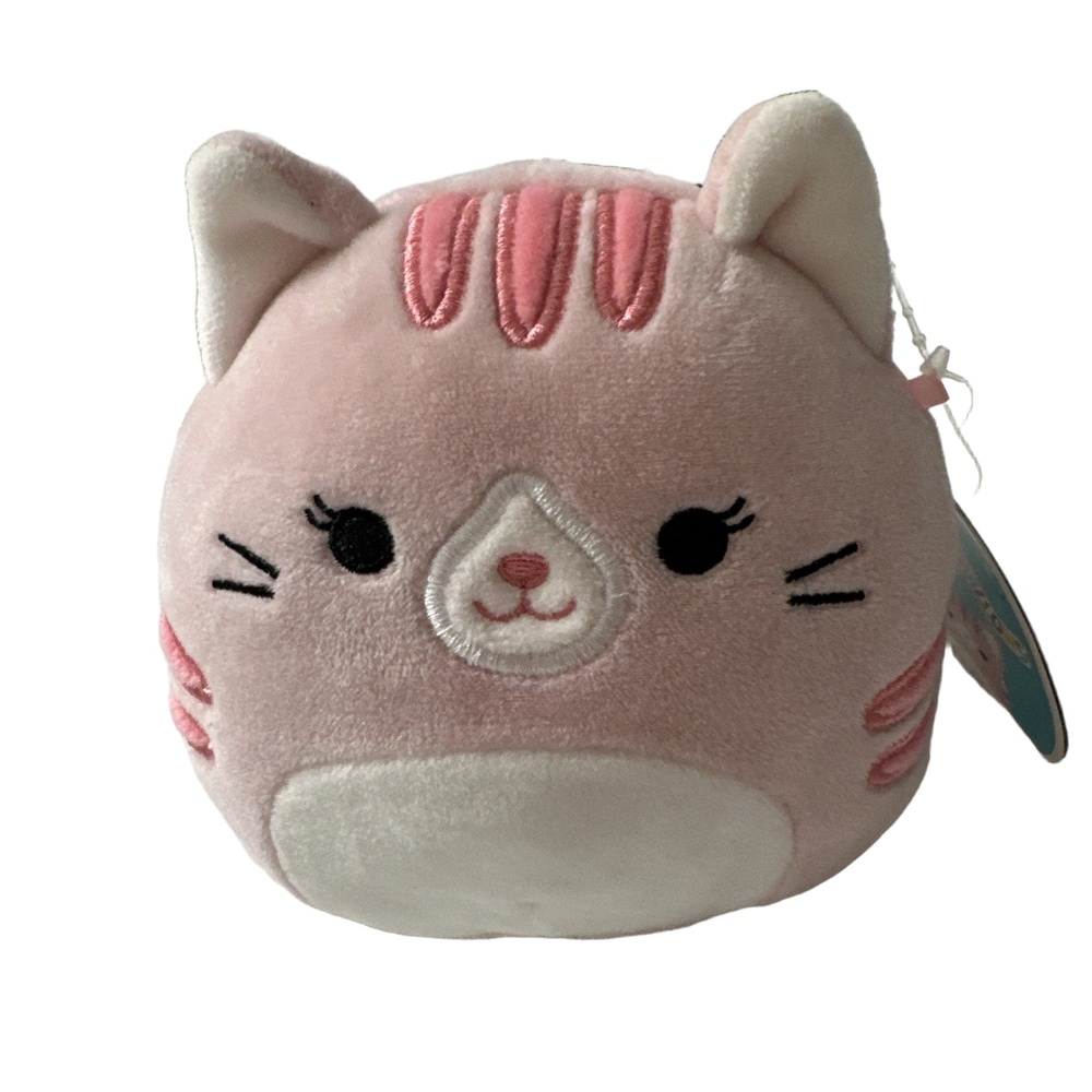 Squishmallows Paulita The Pink Tabby Cat 5 Plush Walgreens Exclusive NWT